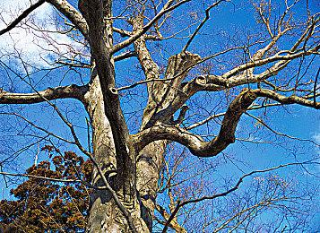 《天国：拯救2》现实和游戏对比视频